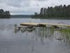 Putkiponttonilaituri 10 x 2,4 m